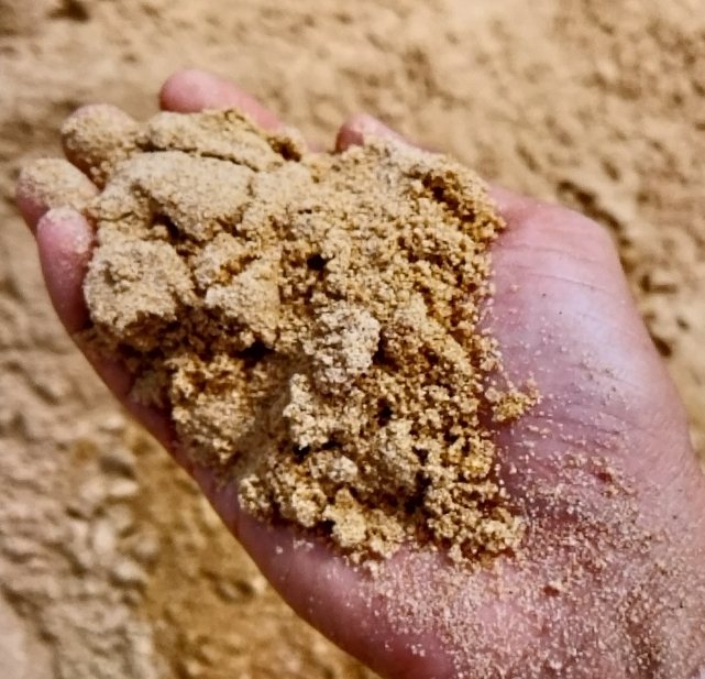 ทรายละเอียด