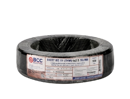 สายไฟTHW#2.5 ดำ