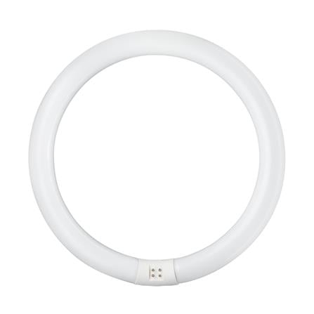 หลอดนีออนกลม ฟิลิปส์ 35w/54