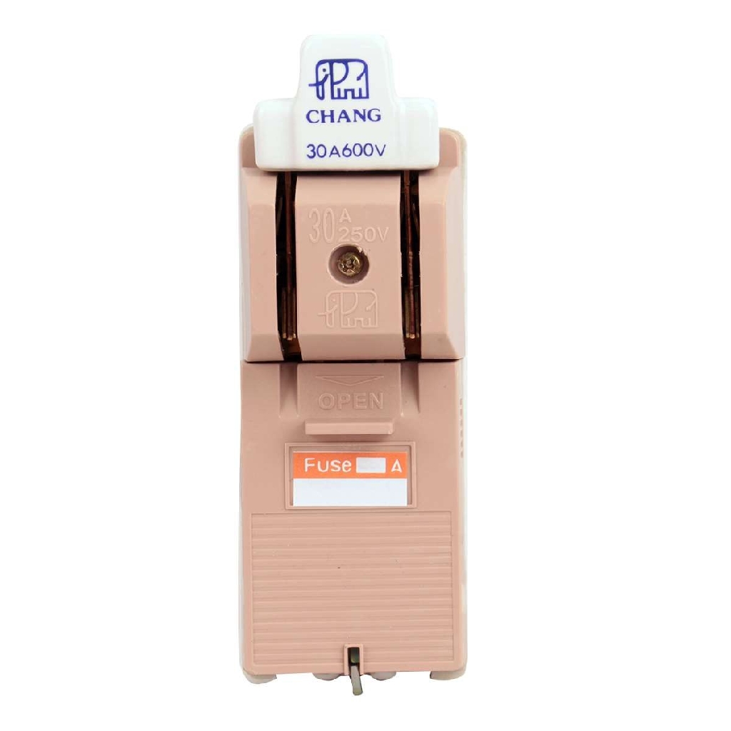 คัตเอ้าท์ช้าง 2P 30A